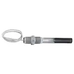 Incoloy or SS Immersion Heater .5_ or .75_ NPT Small tanks